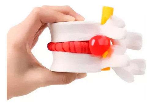 Modelo De Disco Lombar Da Coluna Vertebral Humana No Brasil 0