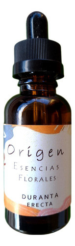 Conexión De Mente Y Alma Método Flores De Bach 0