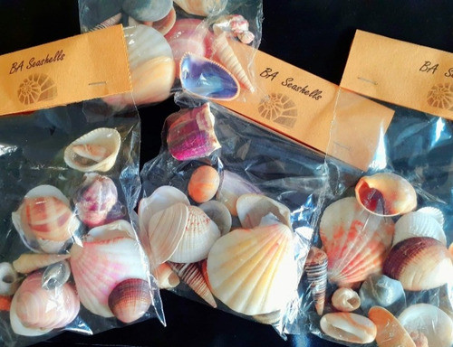 Caracoles Marinos. 5 Bolsas. Variedad Artesan.velas Eventos. 1