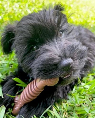 Juguete Mordillo Irrompible Para Mascotas - Mediano 1