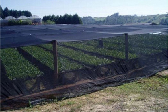 Tela De Sombreamento 50% (sombrite) 10x2m 1