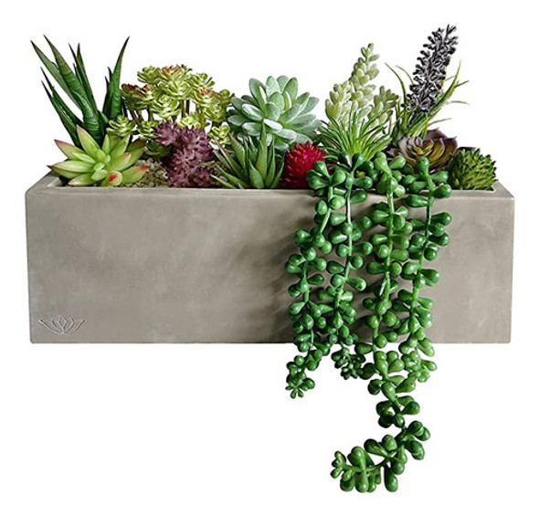 Greenboxx Plantas Suculentas Artificiales Tropicales 0
