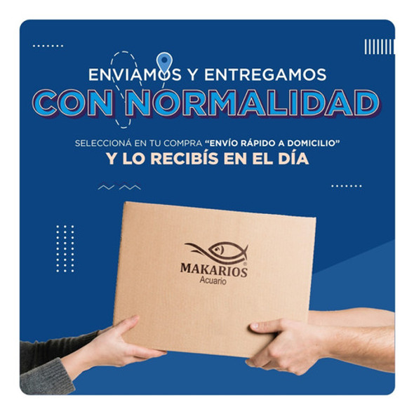 Alimento Biogran Small 100 Gr Prodac Fraccionado Acuario 1