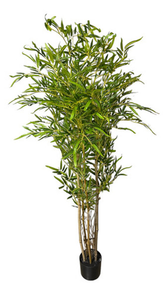 Bambu Decorativo Tronco Natural 150cm Com Vaso De Apoio 0