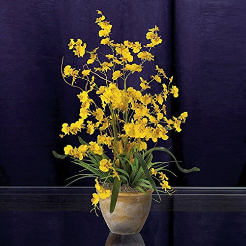 Nearly Natural 1005-yl Arreglo De Orquídeas De Seda Dancing 1