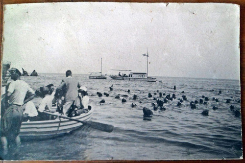 Antigua Gran Fotografia Excursion A Isla De Lobos 1925 0