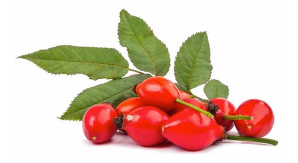 Aceite Rosa Mosqueta Y Vitamina E 0