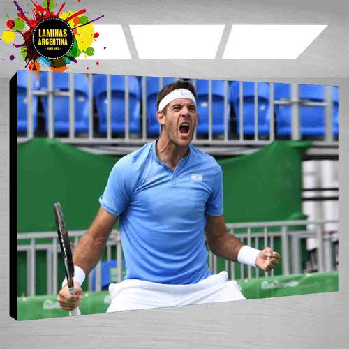 Cuadro De Del Potro - Todos Los Deportistas Y Mucho Mas 1