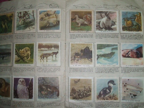 Album De Figuritas Animales Año 1958 Completo 1