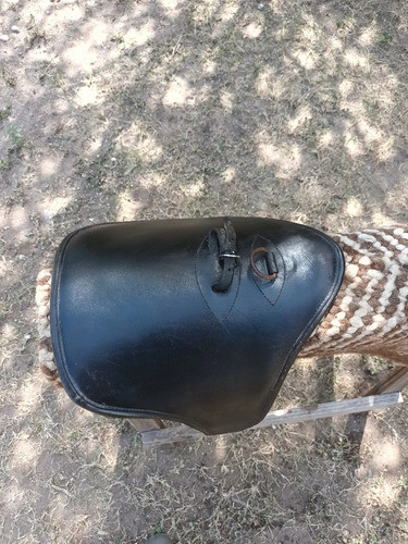 Cincha Pancera Equitación 1