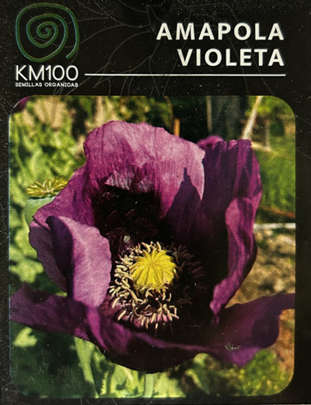 Semillas Orgánicas De Amapola, Violeta 0