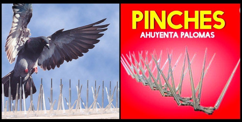 Pinches Seguridad Palomas Raven Plastico 50cm 1