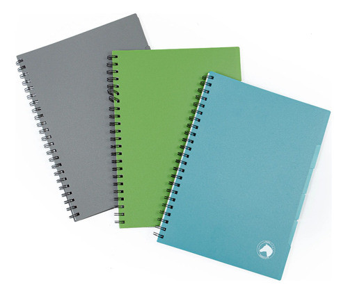 Cuadernola Caballito 80 Hojas Tapa Pvc Divisores Escolar 0