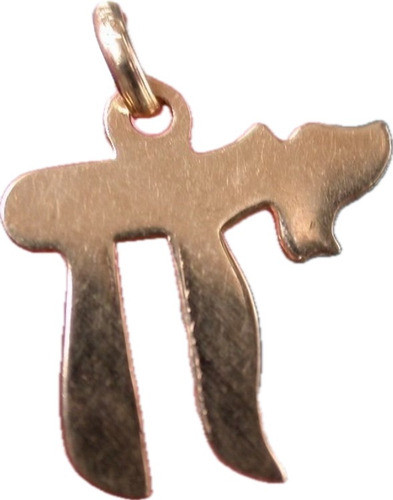 Colgante Dije Oro 18k Jai Simbolo Garantia Joyeria Luli 0