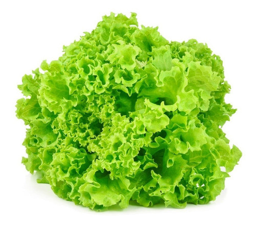 Sementes De Alface Crespa Para Cultivar Em Vasos E Horta 0