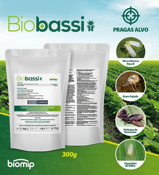 Biobassi Beauveria Controle Biológico De Pragas 1