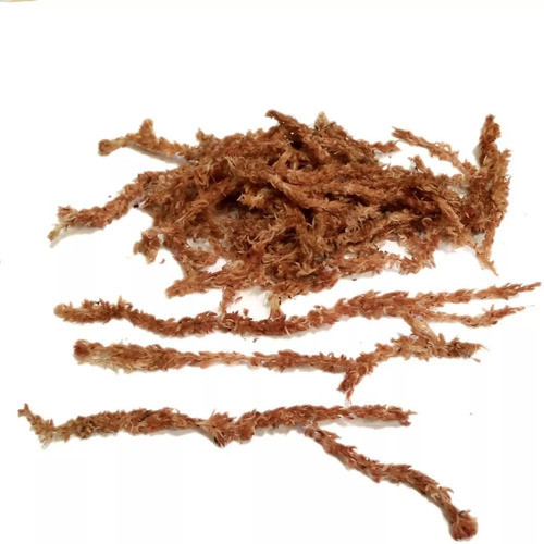 Musgo Sphagnum Hebras 5 Litros Premium Orquideas Gajos 0
