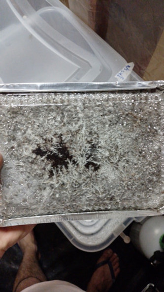 Recarga Panes Para Monotube X4 0