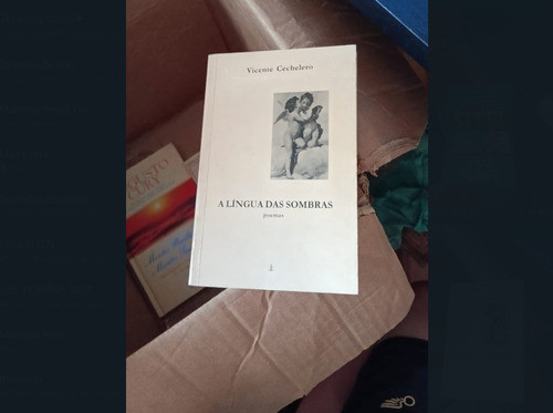 A Lingua Das Sombras De Vicente Cechelero Pela Giordiano ... 0