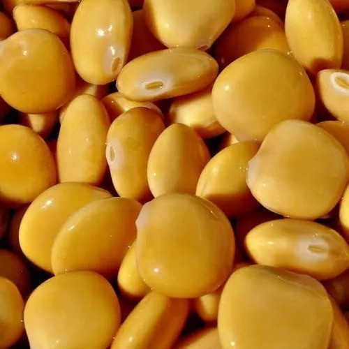 Tremoço Português Em Salmoura Calibre 15/17 - 2 Kg 1