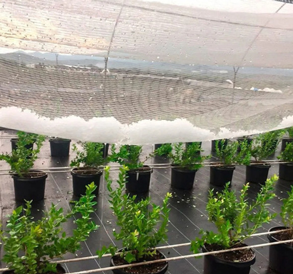 Rollo Malla Red Protección Anti Pajaro/granizo Cristal 2mt.a 1