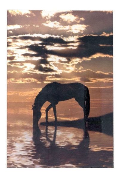 Álbum 240 Fotos 10x15 C/ Memo Eco Rec 105/02 0