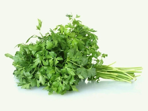 Semente De Salsa Salsinha Lisa Da Roça Horticeres 500 Gramas 1