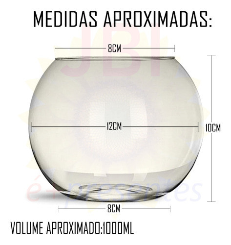 Conjunto Vaso Aquário Redondo Ø12x10cm Vidro Para Decoração 1