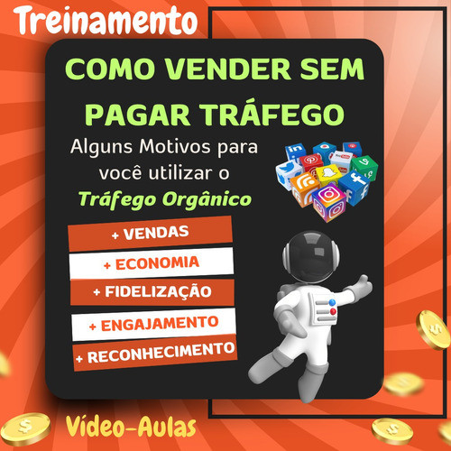 Como Vender Na Internet C/ Tráfego Orgânico Sem Custos Vídeo 0