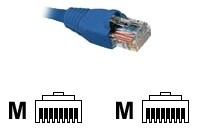 Patchcord Cat5e 25ft 7.6mts Nexxt Azul 1