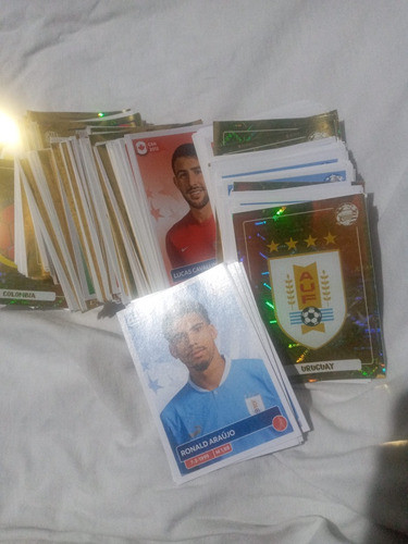 Albun Completo Copa 2024 0