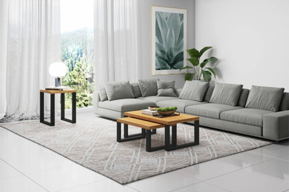 Mesa De Centro Rectangular Industrial Mdf Gala Amoblamientos 1