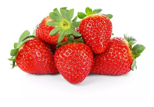 3 Displays De Pirulito Dip Loko Morango - 15 Unidades X 11g 1