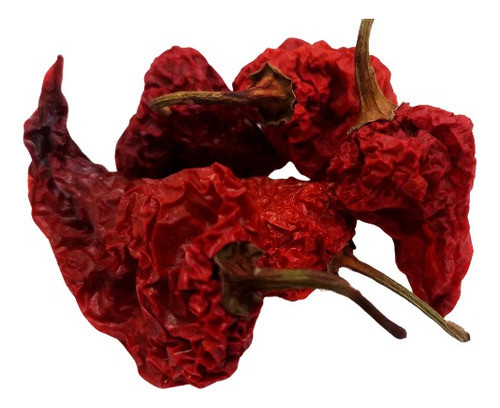 Chile Habanero Ahumado/seco X 20gr. 0