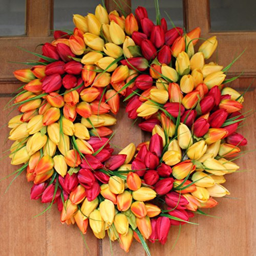 Colorete Tulipán Puerta Delantera Corona 1