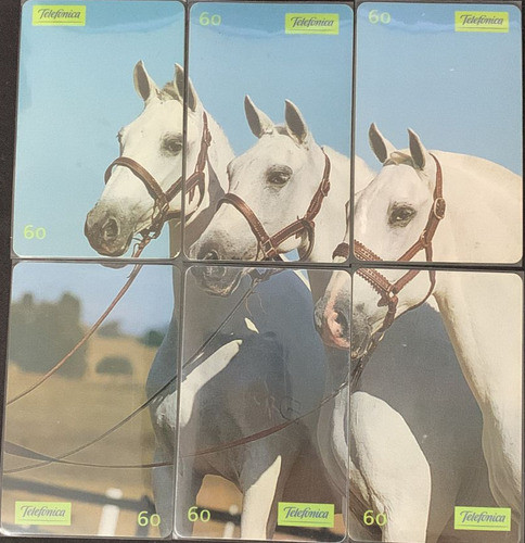 Serie Completa Cavalos / Telefonica / 6 Cartões / Andaluz 0