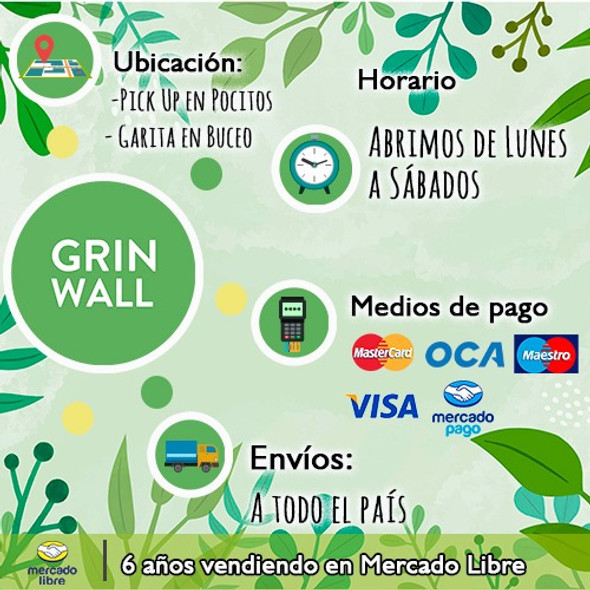 Semillas De Tomillo Quintero- Grin Wall 1