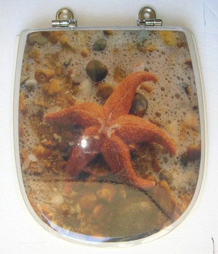 Tapa Asiento Inodoro Adriatico Decorado Estrella Mar Resina 1