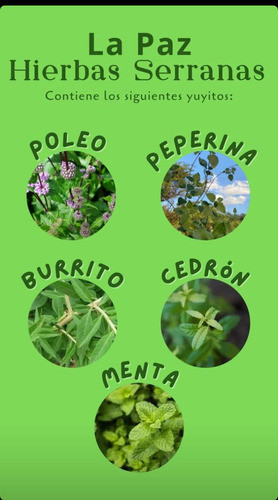 Hierbas Serranas La Paz Pack X 12 Unid. De 500 Gr 1
