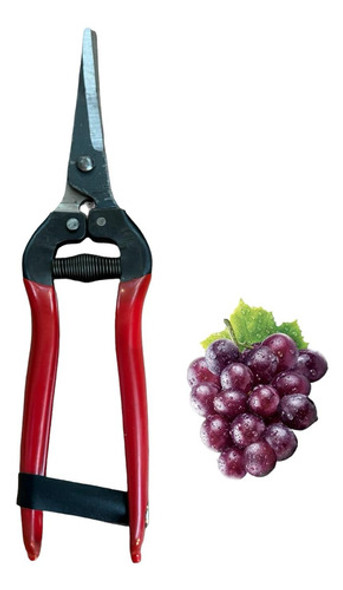 Tijera De Vendimia Manual 1 Tijera De Vendimia Manual 1