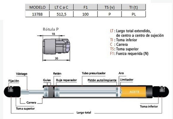Amortiguador De Puerta Trasera Ford Ecosport 2002... 1