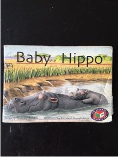 Baby Hippo New Pm Story Books By Beverly Randell 0