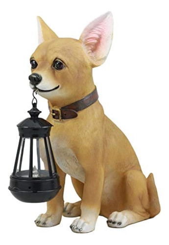 Ebros Picante Mexicano Chihuahua Perro Decoración Camino Enc 1