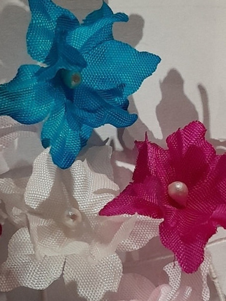 Chiquita Flor De Tela 0