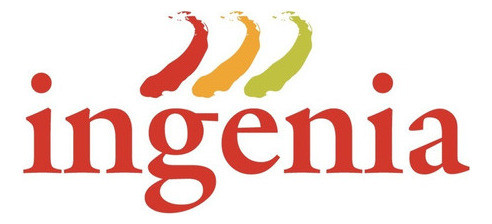 Espatulas + Enduido Interior Ingenia 2 X 7 K Facil Lijado Mm 1