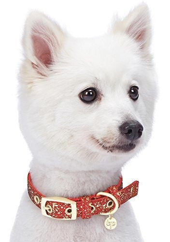 Blueberry Pet  1 Collar De Perro Con Rosca Metalica Mas Co 1