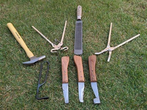 Kit Para Ferrar E Casquear Cavalo Casqueamento Profissional 1