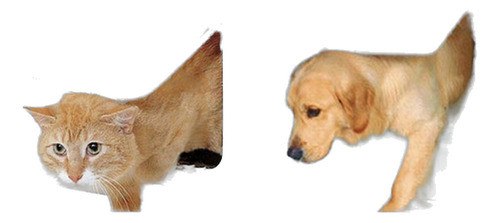 Blanco Segura Puerta De Perro/gato/mascota Puerta Extra Comp 0