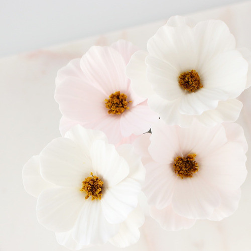 Cortante De Pétalos Cosmos Cód. 057 1