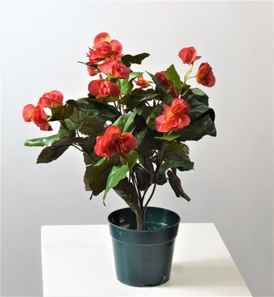 Tango Begonia - Plantas Artificiales . Regalosdeco 0